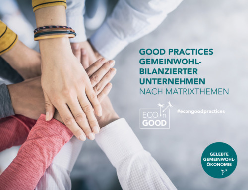 Publikation: 20 Good Practices gemeinwohl-bilanzierter Unternehmen